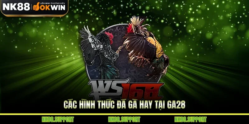 Các hình thức đá gà hay tại Ga28